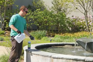 Maintenance Questions About Your Water Fountain