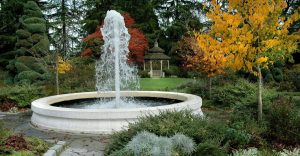 Things to keep in mind while selecting led light for fountain